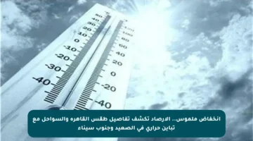 انخفاض ملموس.. الأرصاد تكشف تفاصيل طقس القاهرة والسواحل مع تباين حراري في الصعيد وجنوب سيناء